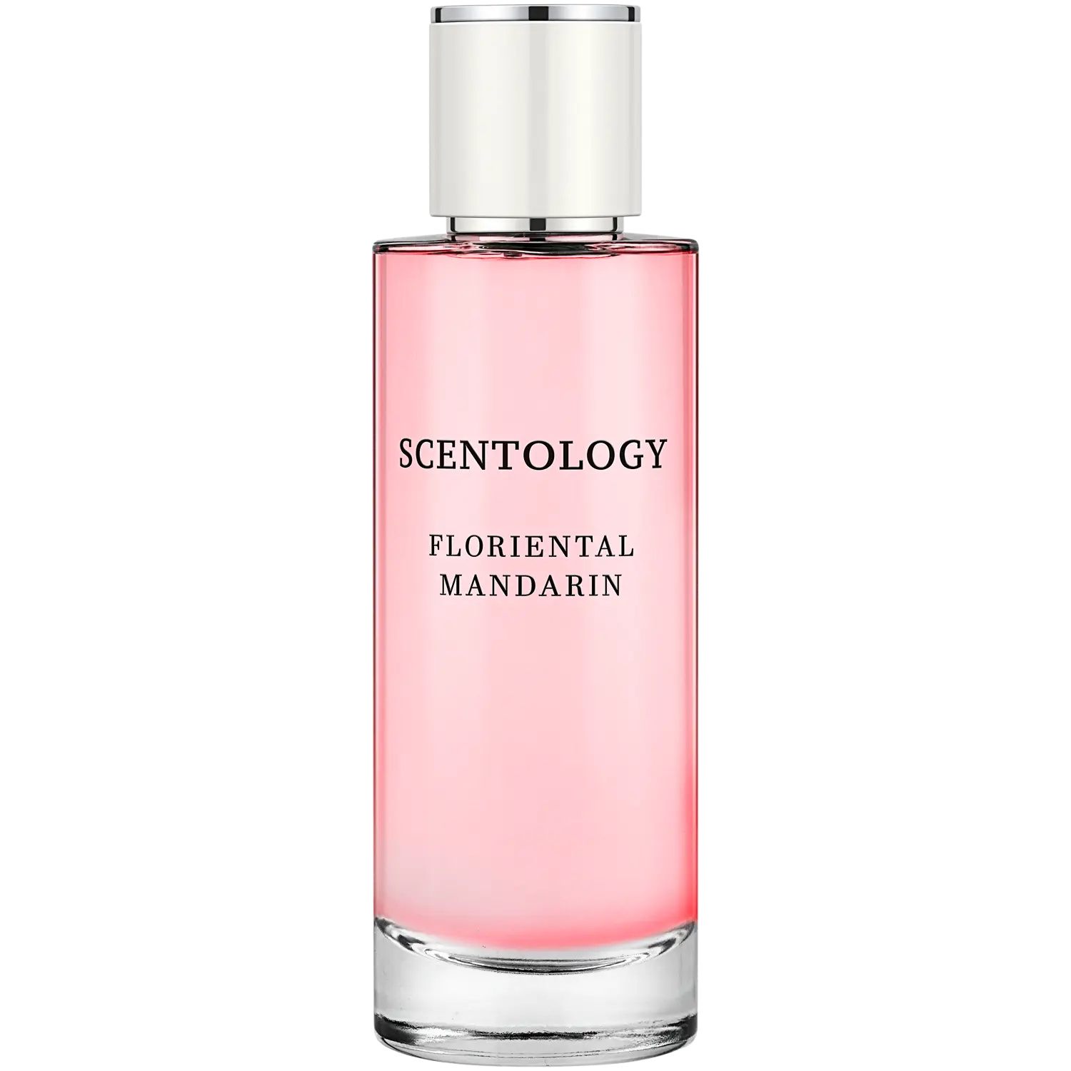 Scentology Floriental Mandarin парфюмированная вода для женщин, 100 мл
Scentology Floriental Mandarin парфюмированная вода для женщин, 100 мл