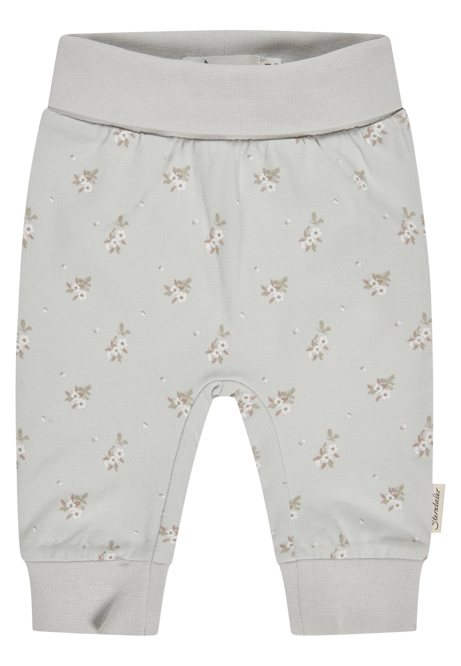 Обычные брюки STERNTALER Blumen, светло-серый
Обычные брюки STERNTALER Blumen, светло-серый