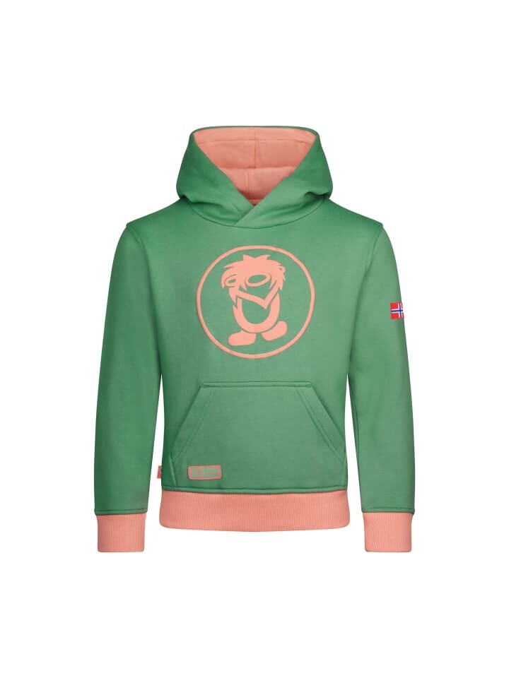 Пуловер Trollkids Troll, цвет leaf green/dahlia
Пуловер Trollkids Troll, цвет leaf green/dahlia