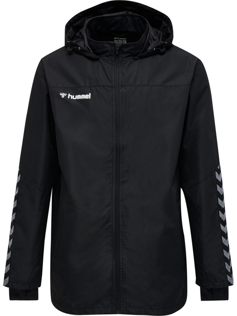 Спортивная куртка Hummel Authentic, черный
Спортивная куртка Hummel Authentic, черный