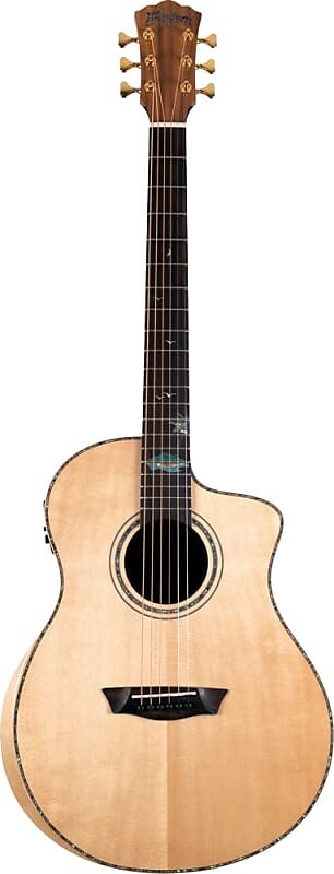 Акустическая гитара Washburn Bella Tono Allure SC56S
Акустическая гитара Washburn Bella Tono Allure SC56S