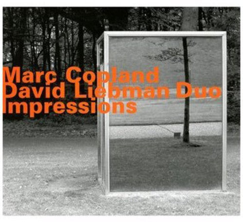 CD диск Copland, Marc / Liebman, David: Impressions
CD диск Copland, Marc / Liebman, David: Impressions