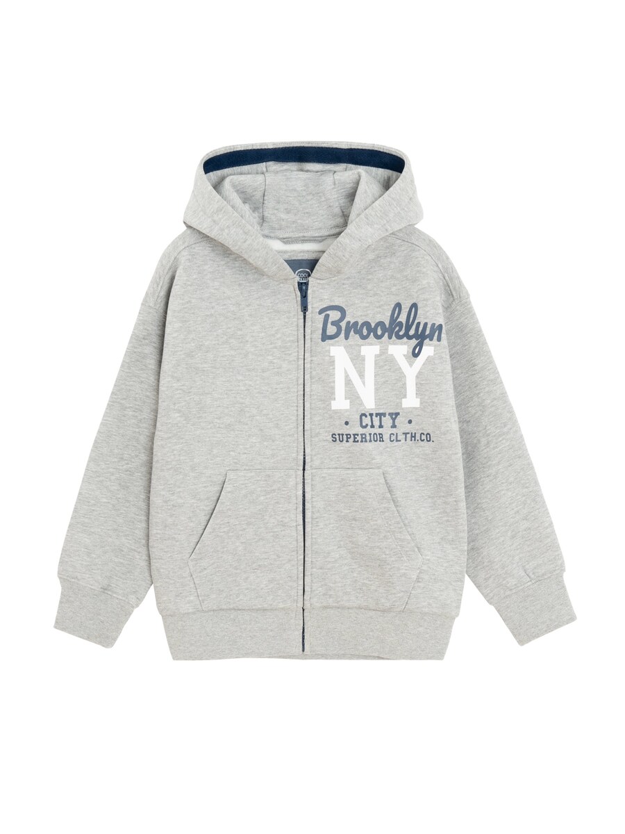 Толстовка с капюшоном на молнии Cool Club, Mottled Grey
Толстовка с капюшоном на молнии Cool Club, Mottled Grey