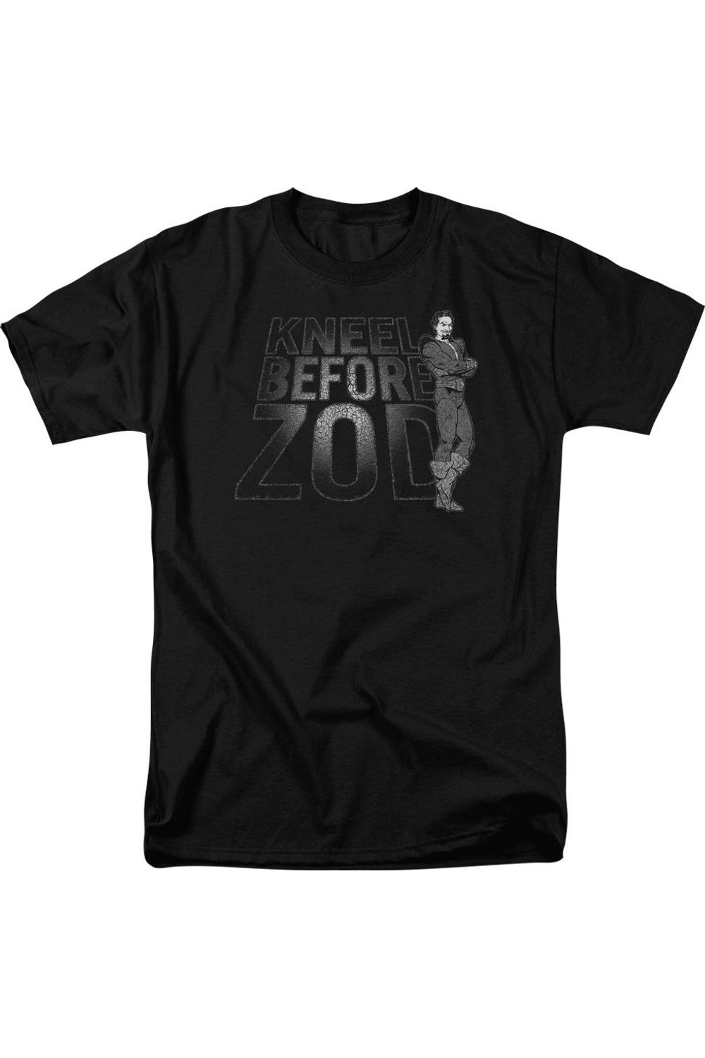 Футболка с коротким рукавом для взрослых DC Comics Kneel Zod Gildan, черный
Футболка с коротким рукавом для взрослых DC Comics Kneel Zod Gildan, черный