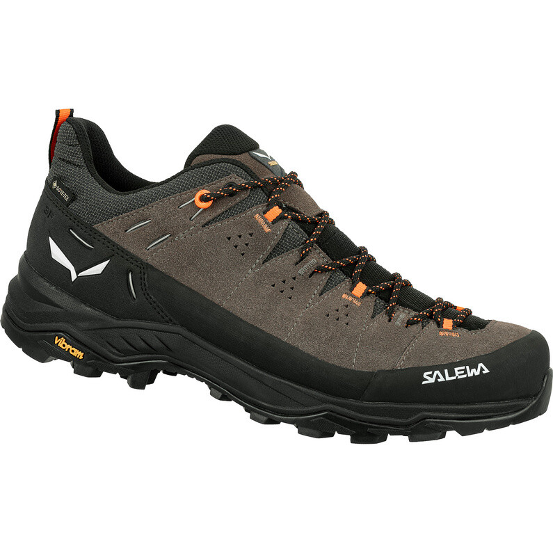 Мужские кроссовки Alp Trainer 2 GTX Salewa, коричневый
Мужские кроссовки Alp Trainer 2 GTX Salewa, коричневый