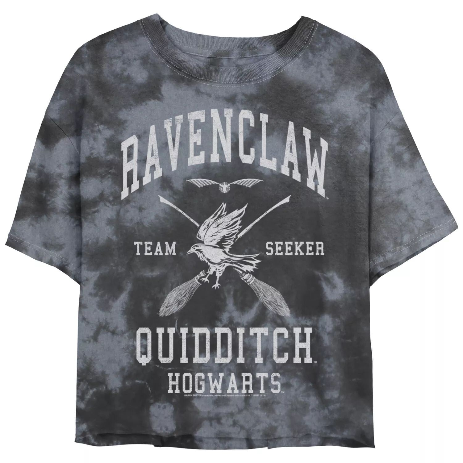Юниорская футболка Harry Potter Ravenclaw Bold Team Seeker Licensed Character
Юниорская футболка Harry Potter Ravenclaw Bold Team Seeker Licensed Character
