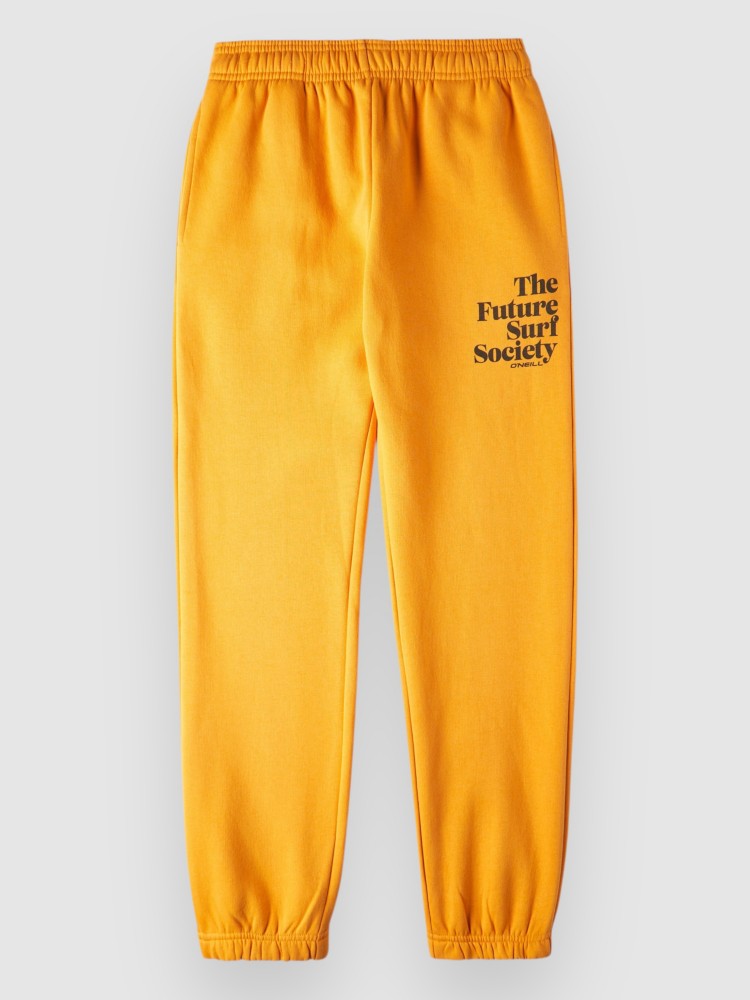 Повседневные брюки O'Neill Future Surf Kids Hose, nugget
Повседневные брюки O'Neill Future Surf Kids Hose, nugget
