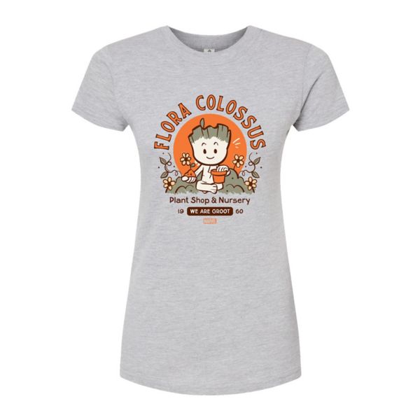 Футболка для юниоров «Стражи Галактики» Грут Флора Колосс Marvel, серый
Футболка для юниоров «Стражи Галактики» Грут Флора Колосс Marvel, серый