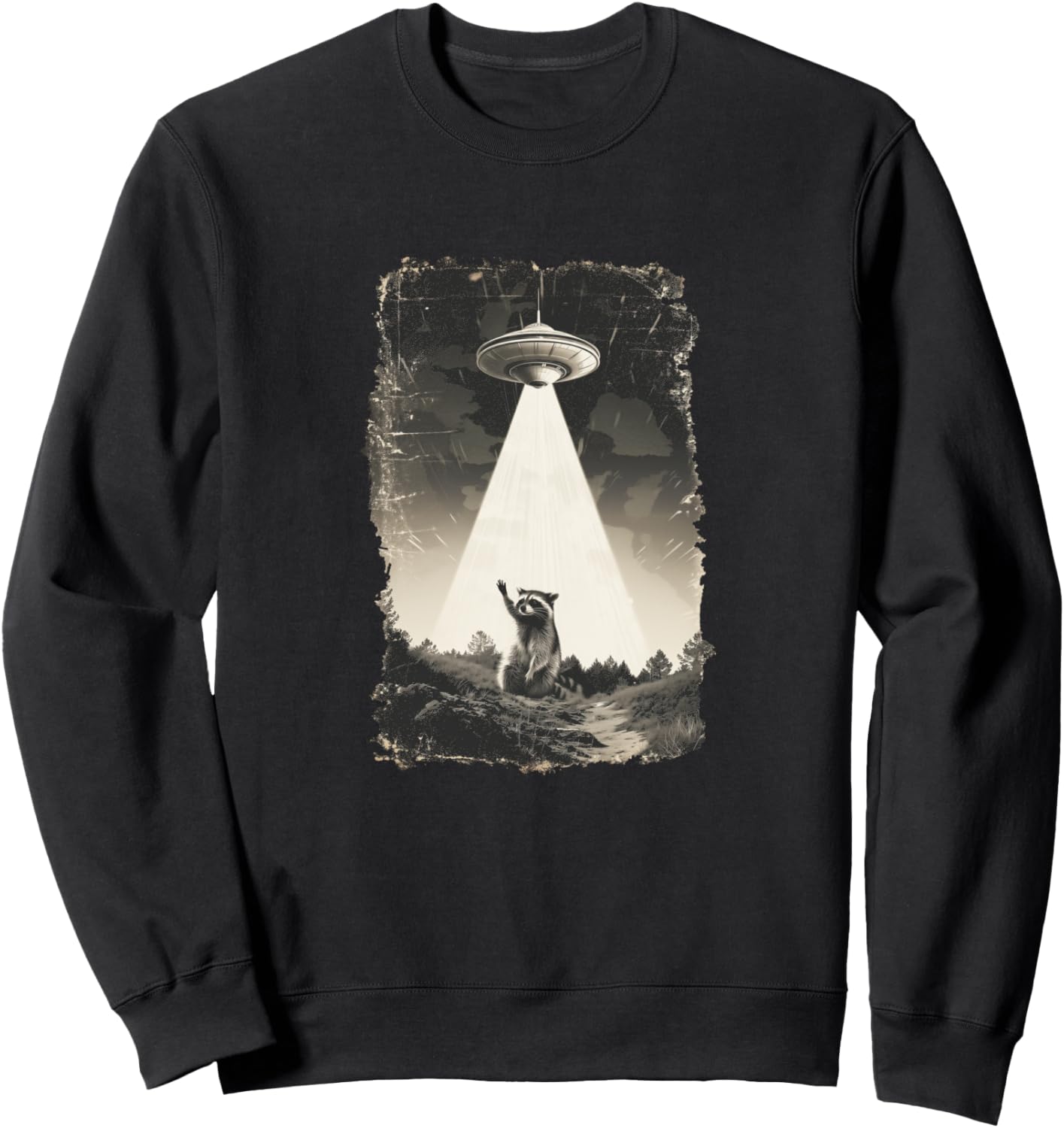 Толстовка с изображением енота, НЛО, инопланетянина, странного ядра и эстетическим рисунком Live Fast Eat Trash, черный
Толстовка с изображением енота, НЛО, инопланетянина, странного ядра и эстетическим рисунком Live Fast Eat Trash, черный