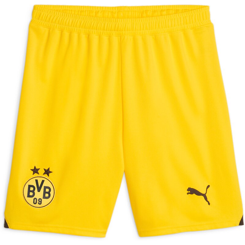 Шорты bvb шорты реплика Puma, черный
Шорты bvb шорты реплика Puma, черный
