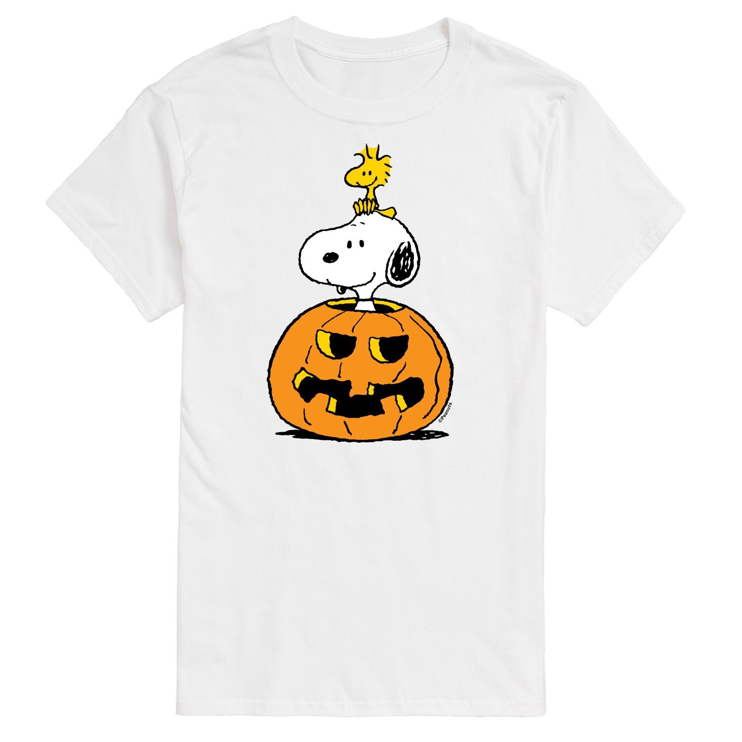Футболка Big & Tall Peanuts Snoopy с тыквой Licensed Character, белый
Футболка Big & Tall Peanuts Snoopy с тыквой Licensed Character, белый