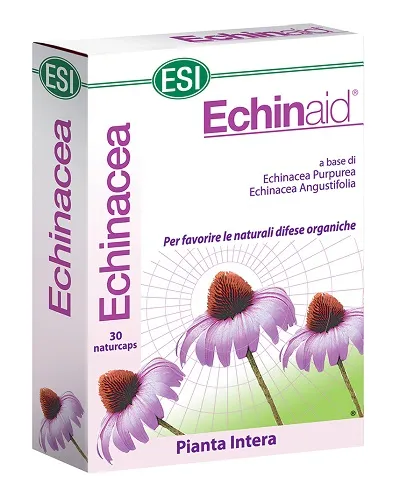 Esi Echinaid Naturcaps Добавка с эхинацеей для естественной иммунной защиты 30 Naturcaps Immune System
Esi Echinaid Naturcaps Добавка с эхинацеей для естественной иммунной защиты 30 Naturcaps Immune System