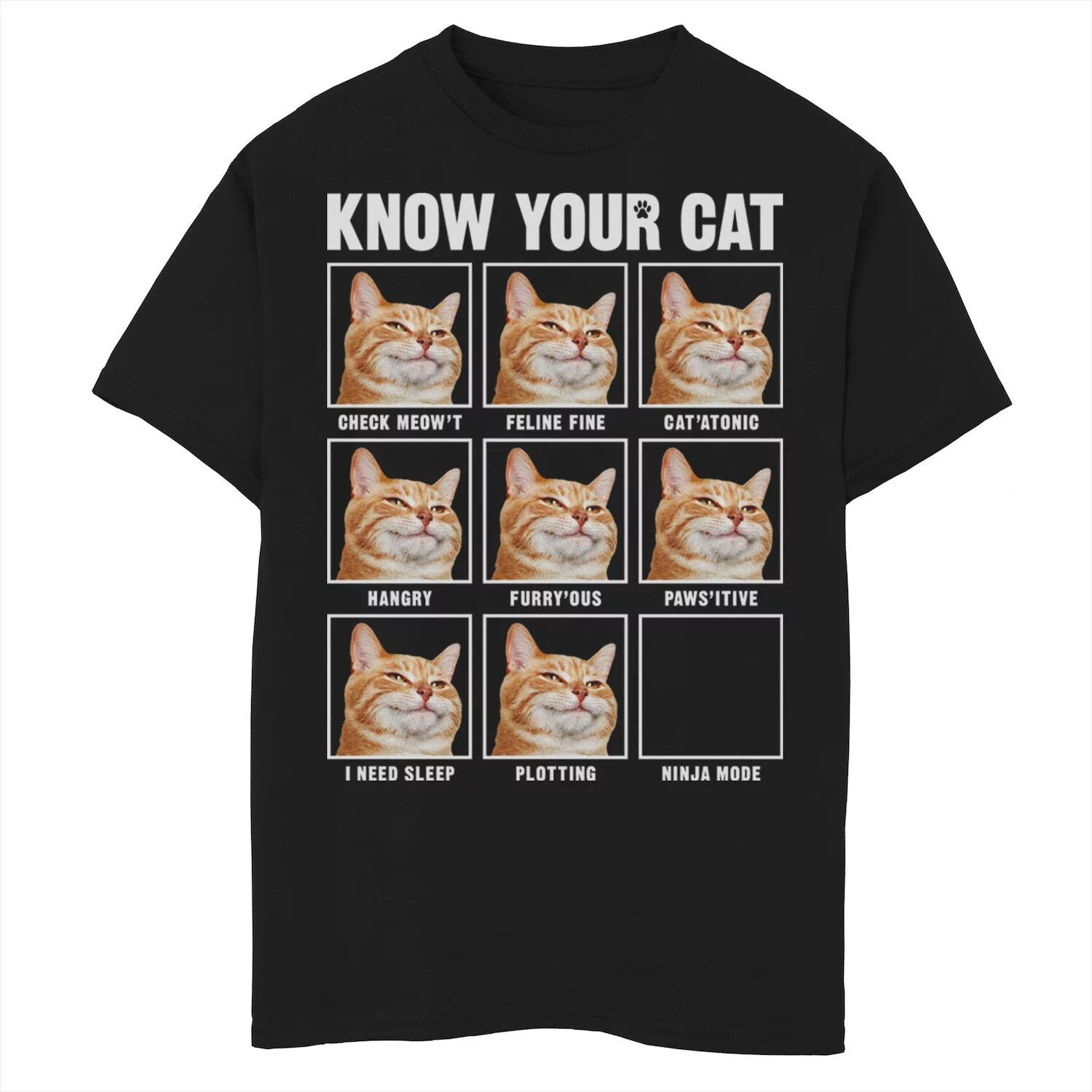 Футболка Fifth Sun Know Your Cat Box Up для мальчиков 8–20 лет с рисунком Fifth Sun
Футболка Fifth Sun Know Your Cat Box Up для мальчиков 8–20 лет с рисунком Fifth Sun