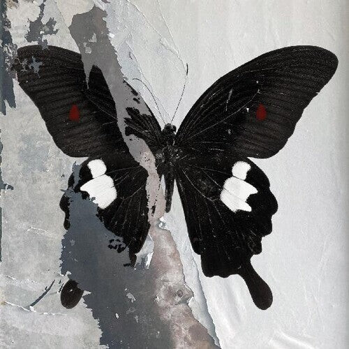 Виниловая пластинка Death Cult: Paradise Now
Виниловая пластинка Death Cult: Paradise Now