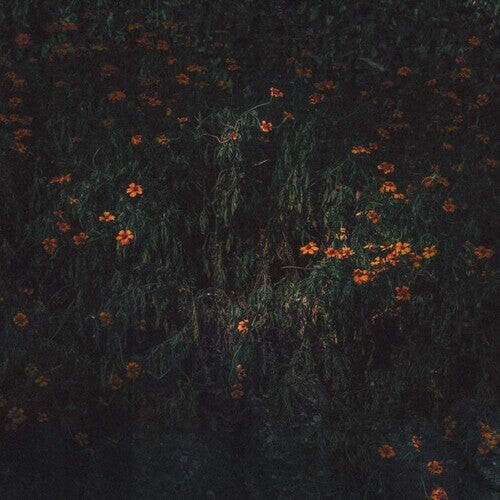 Виниловая пластинка Compro Oro: Estarantos 
Виниловая пластинка Compro Oro: Estarantos