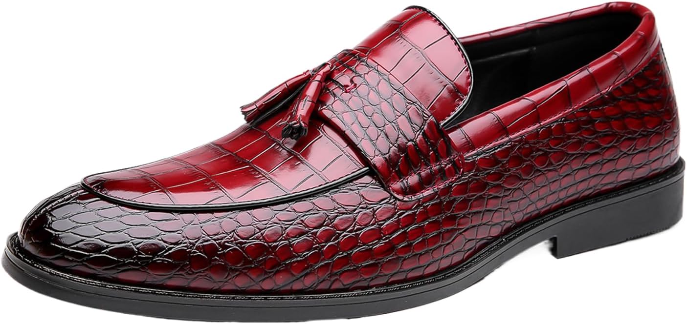 Мужские кожаные лоферы FIFILAPIN с текстурой, массивным каблуком, ретро, с острым носком и кисточками, нескользящие, с удобной посадкой, для работы, бизнеса, свадьбы и официальных мероприятий, красный
Мужские кожаные лоферы FIFILAPIN с текстурой, массивным каблуком, ретро, с острым носком и кисточками, нескользящие, с удобной посадкой, для работы, бизнеса, свадьбы и официальных мероприятий, красный