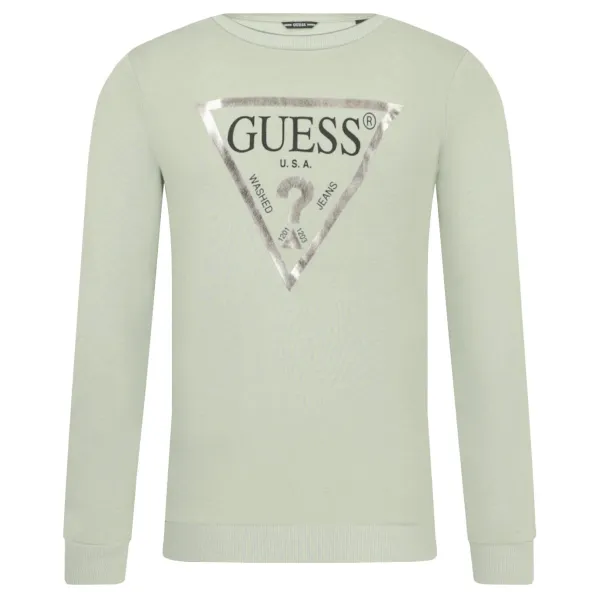 Толстовка обычного кроя Guess, зеленый 
Толстовка обычного кроя Guess, зеленый