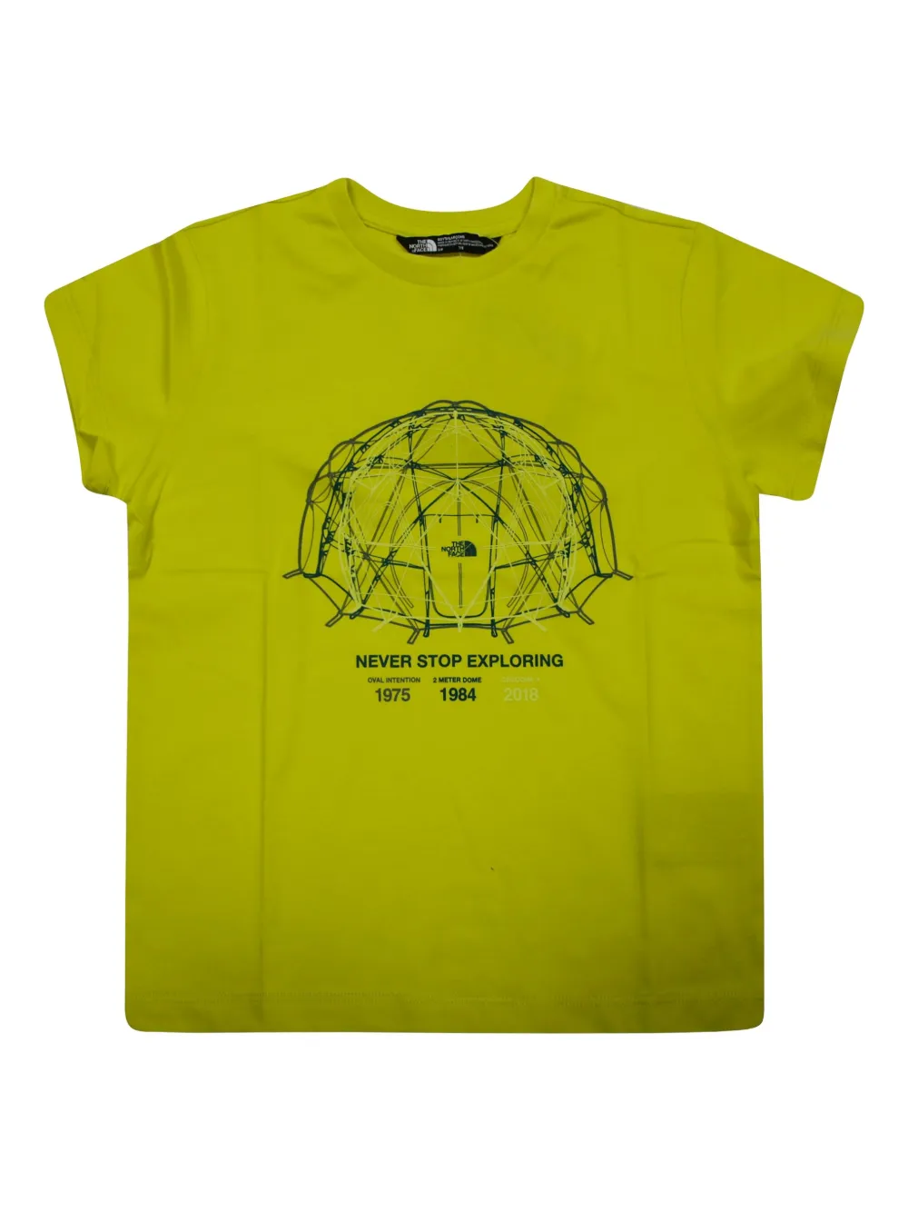 Футболка с графичным принтом The North Face Kids, зеленый
Футболка с графичным принтом The North Face Kids, зеленый