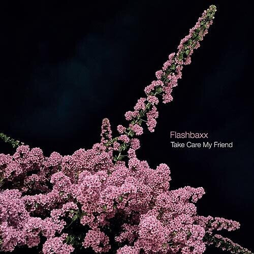 Виниловая пластинка Flashbaxx: Take Care My Friend
Виниловая пластинка Flashbaxx: Take Care My Friend