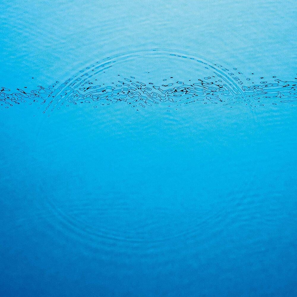 Виниловая пластинка LP Suddenly - Caribou 
Виниловая пластинка LP Suddenly - Caribou