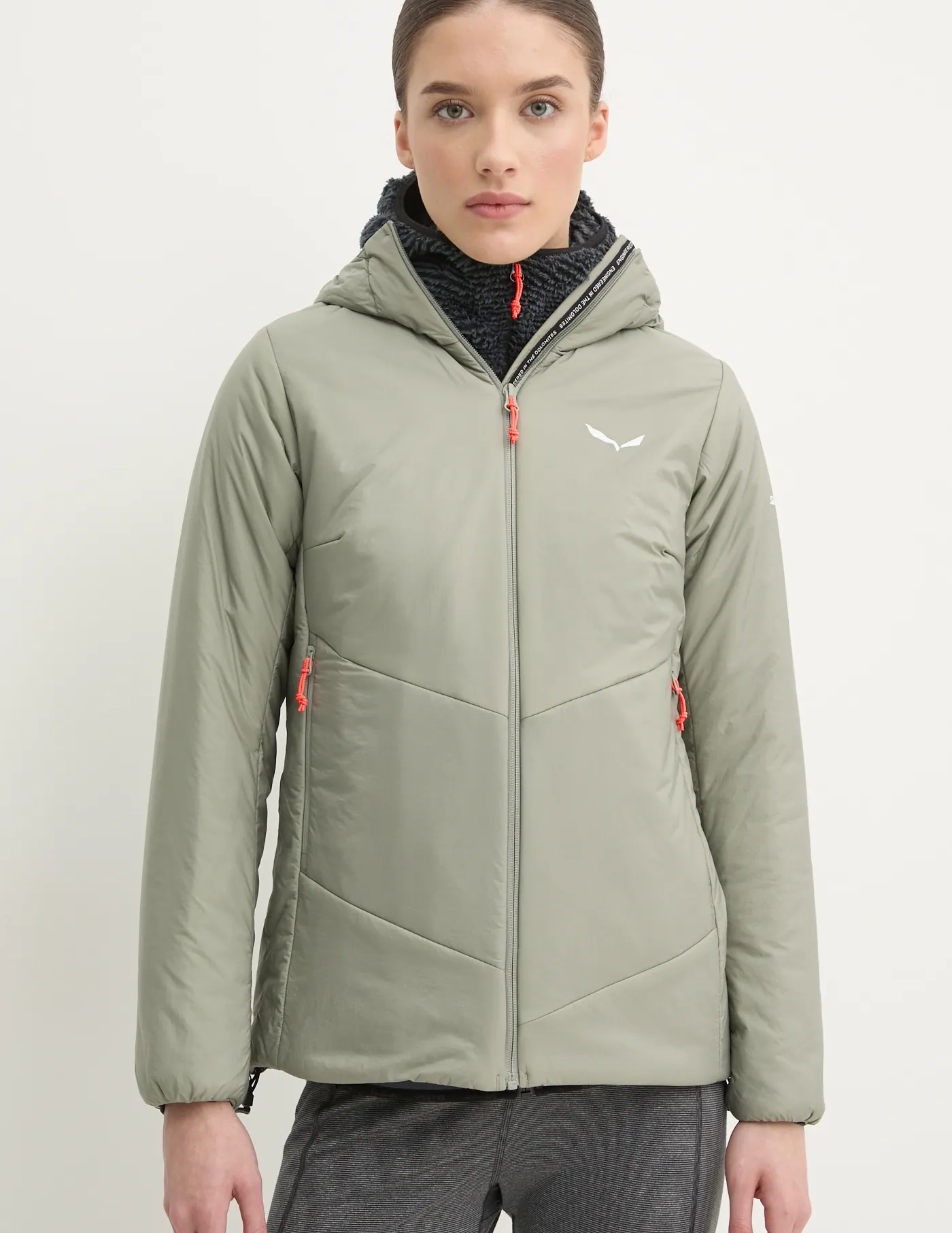 Спортивная куртка Puez Catinaccio 2 Salewa, зеленый
Спортивная куртка Puez Catinaccio 2 Salewa, зеленый