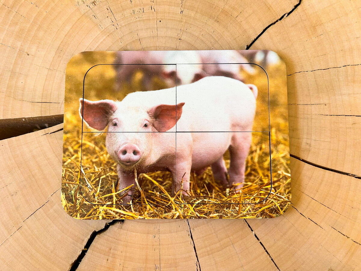 Свинья, деревянный пазл с четырьмя элементами, основа с подписью, первый пазл Inna marka
Свинья, деревянный пазл с четырьмя элементами, основа с подписью, первый пазл Inna marka