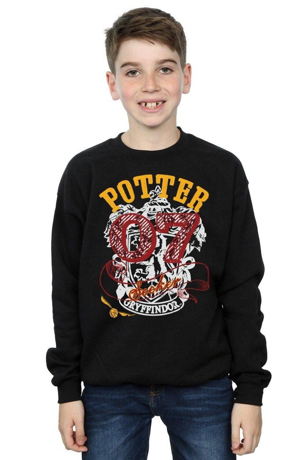 Толстовка Гриффиндора Искателя Harry Potter, черный
Толстовка Гриффиндора Искателя Harry Potter, черный