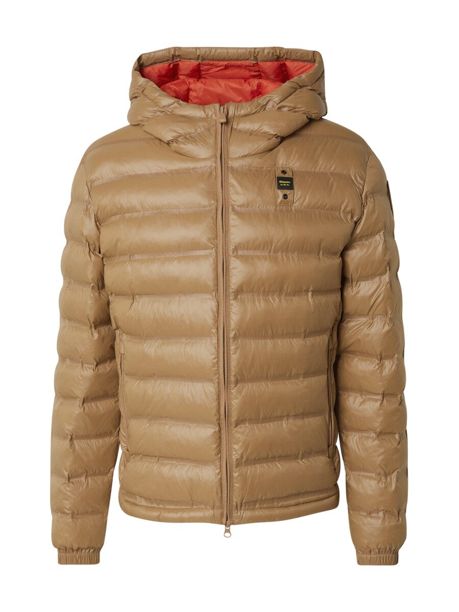 Зимняя куртка Blauer.USA CHARLES, Light brown
Зимняя куртка Blauer.USA CHARLES, Light brown
