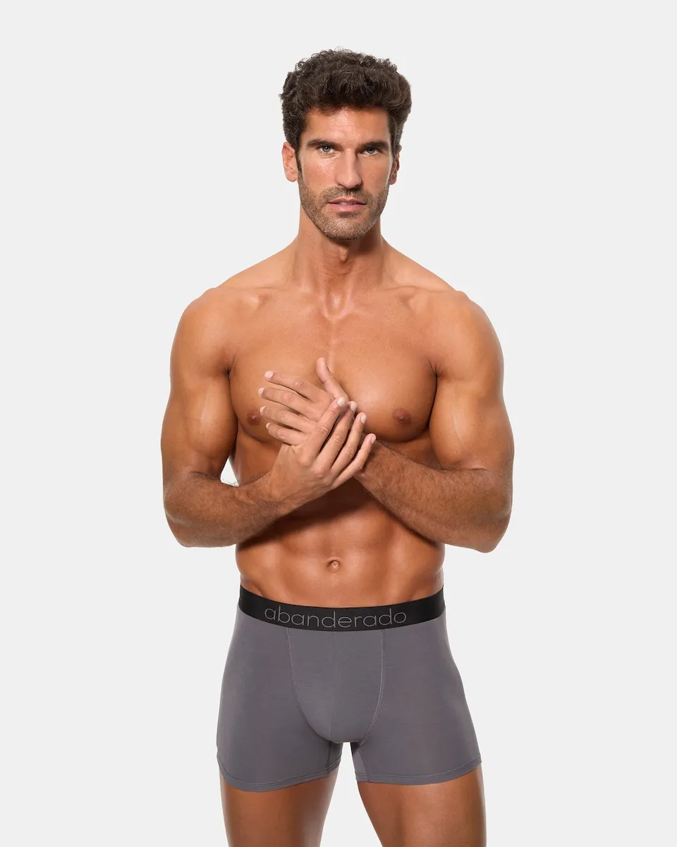 Упаковка из двух мужских трикотажных гипоаллергенных трусов-боксеров разных цветов Abanderado, серый
Упаковка из двух мужских трикотажных гипоаллергенных трусов-боксеров разных цветов Abanderado, серый
