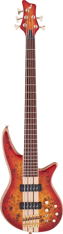 Jackson Pro Series Spectra Bass SBP V Прозрачный Cherry Burst Pro Series Spectra Bass SBP V Transparent Cherry Burst
Jackson Pro Series Spectra Bass SBP V Прозрачный Cherry Burst Pro Series Spectra Bass SBP V Transparent Cherry Burst