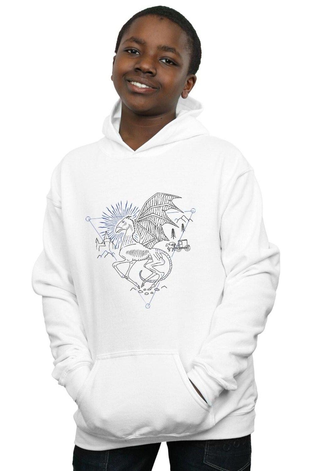 Толстовка Thestral Line Art Harry Potter, белый
Толстовка Thestral Line Art Harry Potter, белый