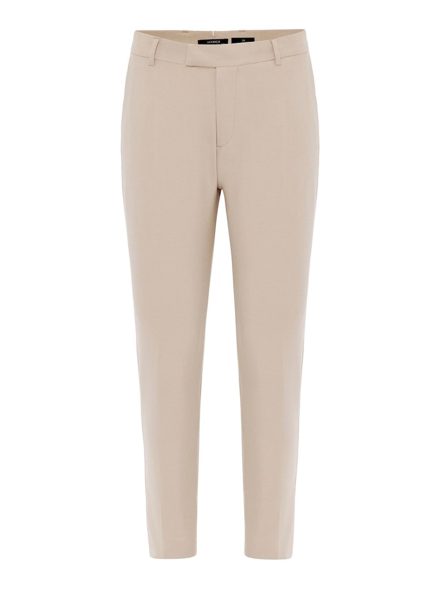 Обычные плиссированные брюки Antioch, бежевый
Обычные плиссированные брюки Antioch, бежевый