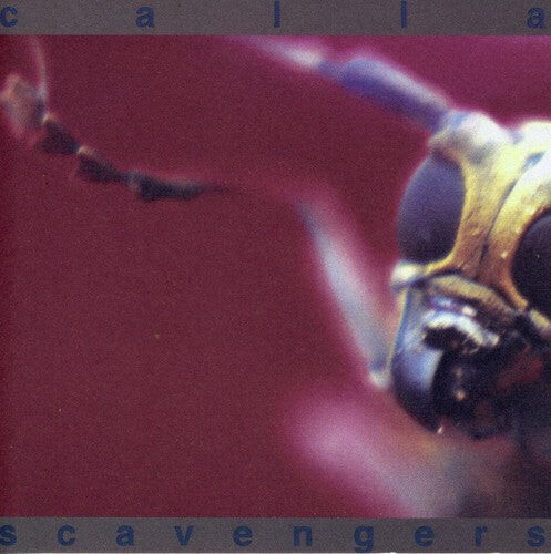 CD диск Calla: Scavengers
CD диск Calla: Scavengers