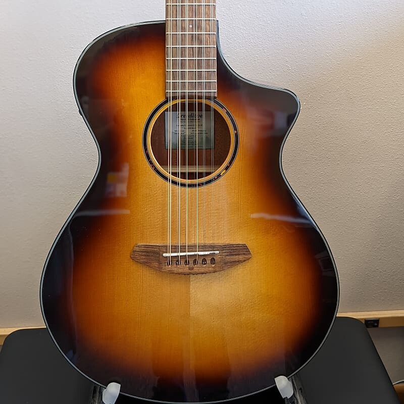 Breedlove Discovery S Concert CE 12-String - Edgeburst
Breedlove Discovery S Concert CE 12-String - Edgeburst