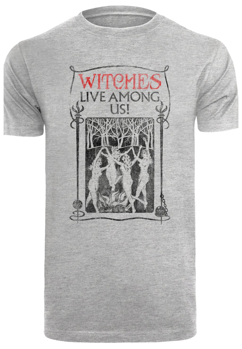 Футболка с принтом PHANTASTISCHE TIERWESEN WITCHES LIVE AMONG US F4NT4STIC, серый
Футболка с принтом PHANTASTISCHE TIERWESEN WITCHES LIVE AMONG US F4NT4STIC, серый