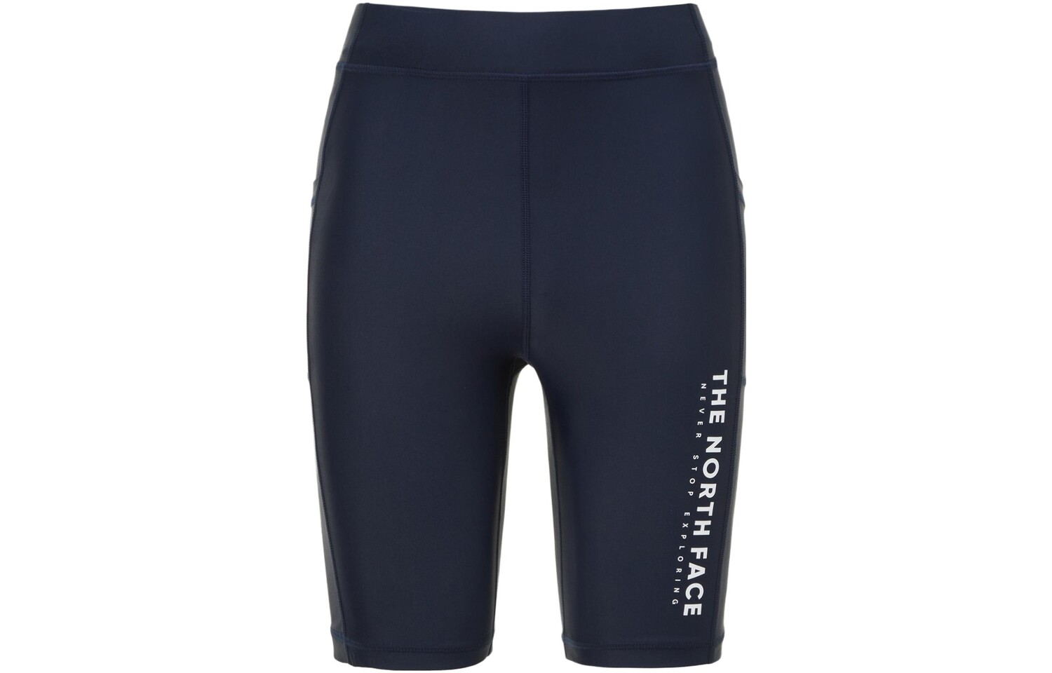 Спортивные штаны мужские синие The North Face, синий
Спортивные штаны мужские синие The North Face, синий