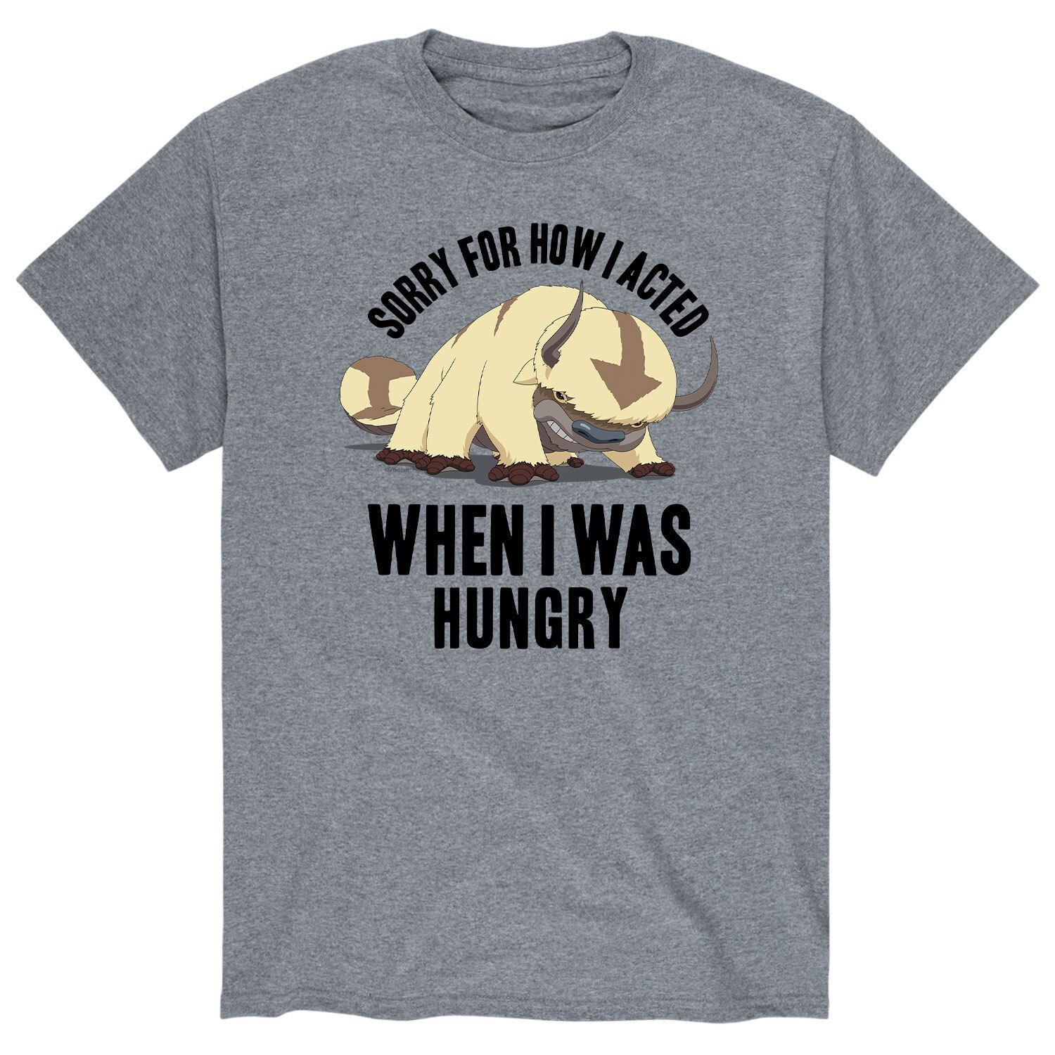 Мужская футболка Nickelodeon Avatar Appa
Мужская футболка Nickelodeon Avatar Appa