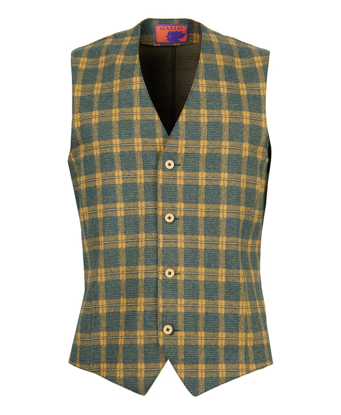 Желтый клетчатый жилет для мужчин. Gallo, мультиколор
Желтый клетчатый жилет для мужчин. Gallo, мультиколор