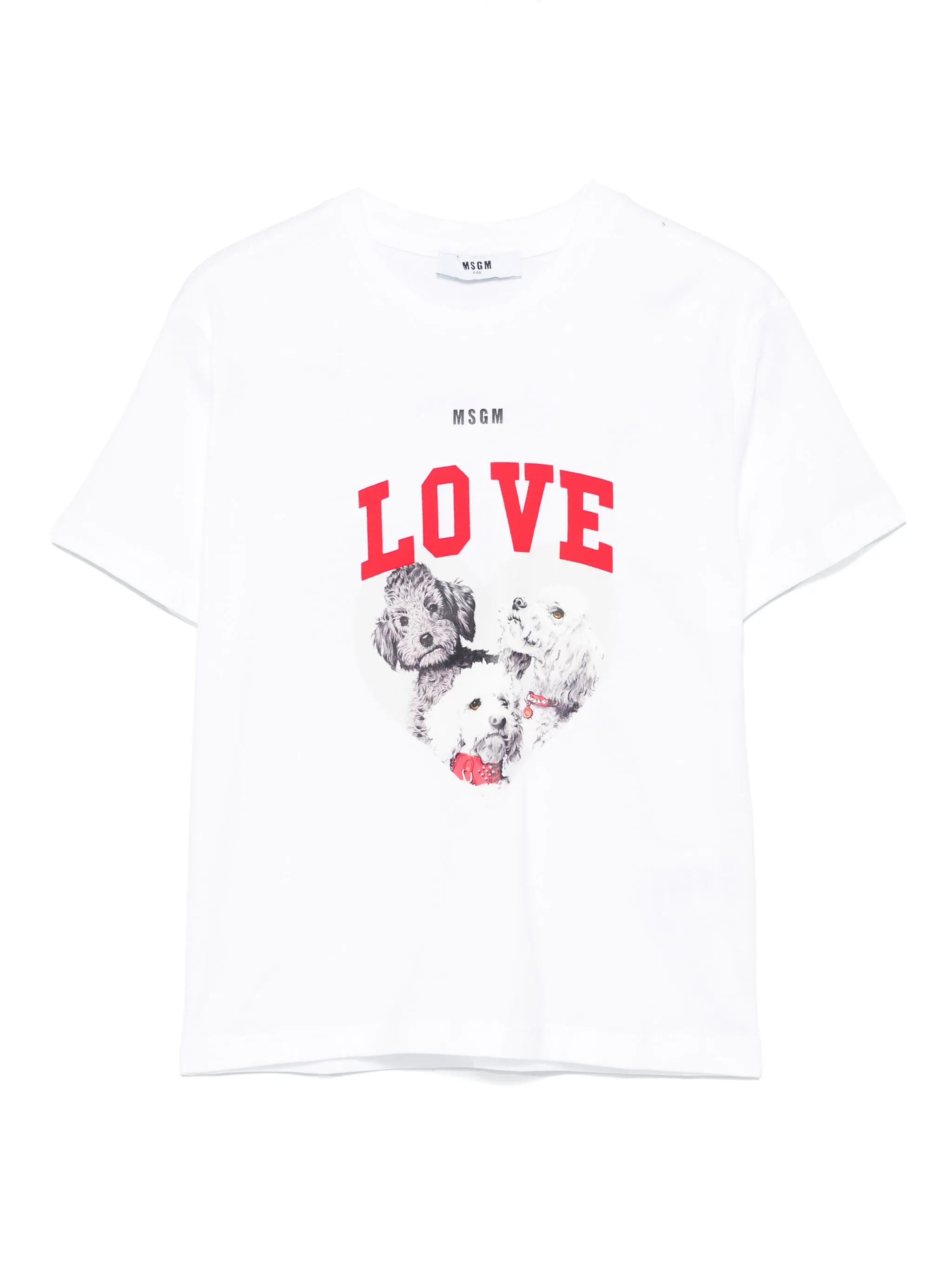 Футболка с графичным принтом Msgm Kids, белый
Футболка с графичным принтом Msgm Kids, белый