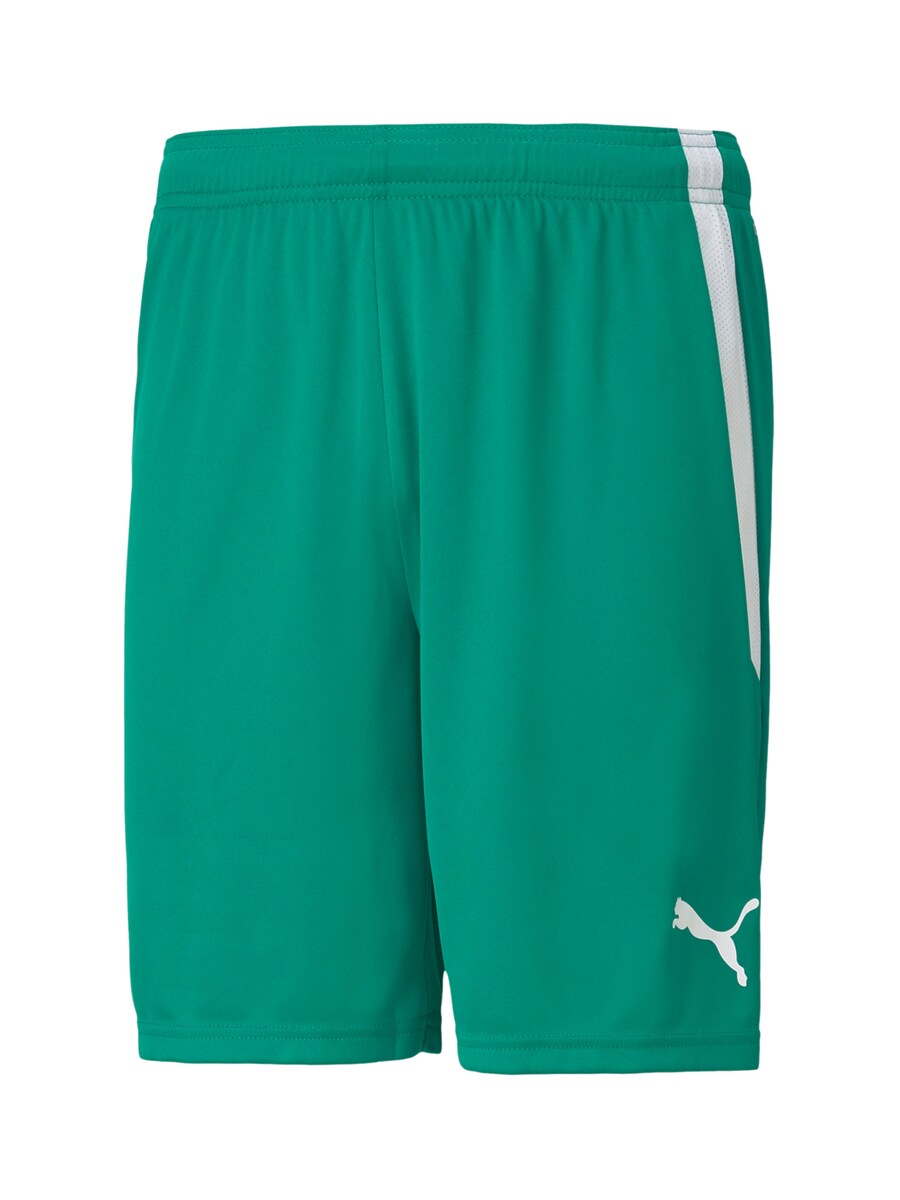 Обычные тренировочные брюки PUMA, зеленый 
Обычные тренировочные брюки PUMA, зеленый