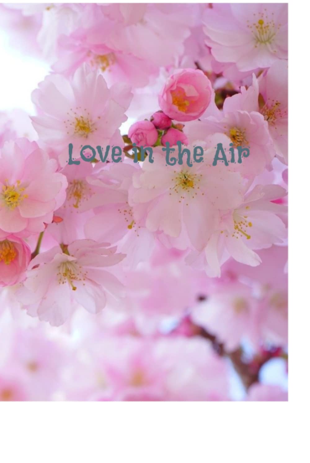 Love in the Air (Independently published)
Love in the Air (Independently published)