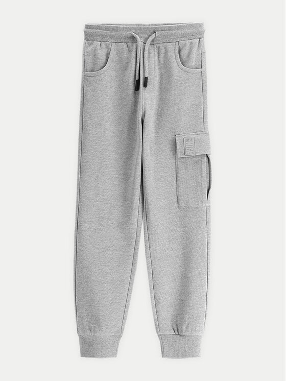 Спортивные брюки обычного кроя WC5120102VBA Coccodrillo, серый
Спортивные брюки обычного кроя WC5120102VBA Coccodrillo, серый