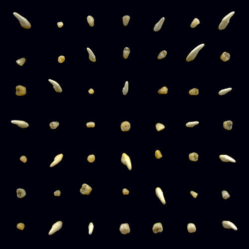 Аудиокассета Clipping: Visions Of Bodies Being Burned
Аудиокассета Clipping: Visions Of Bodies Being Burned