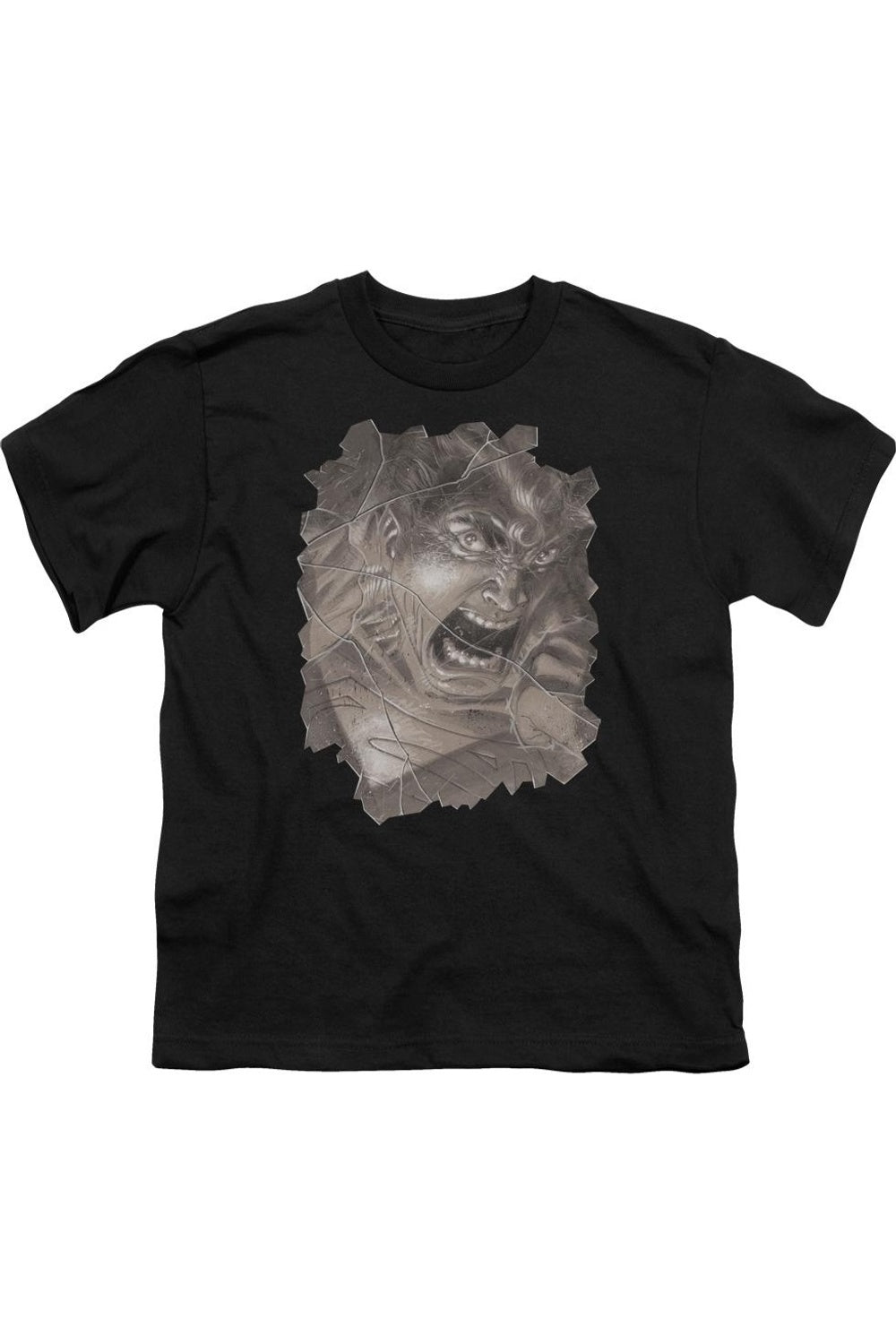 Футболка с коротким рукавом для детей с изображением Супермена Action #840 Gildan, черный
Футболка с коротким рукавом для детей с изображением Супермена Action #840 Gildan, черный