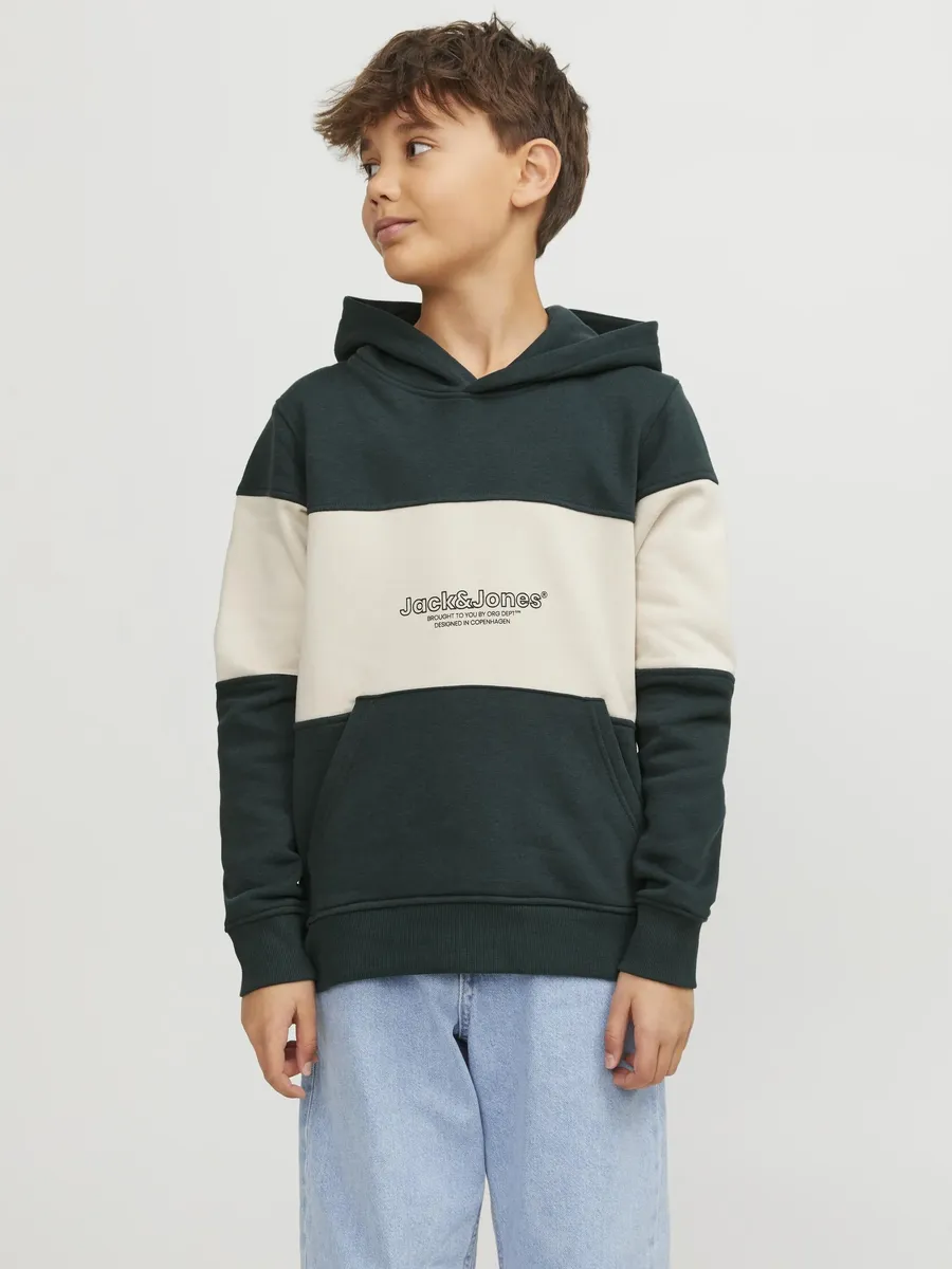 Детская толстовка Jack & Jones "JORLAKEWOOD BLOCK SWEAT H" Jack & Jones Junior, цвет Magical Fore
Детская толстовка Jack & Jones "JORLAKEWOOD BLOCK SWEAT H" Jack & Jones Junior, цвет Magical Fore