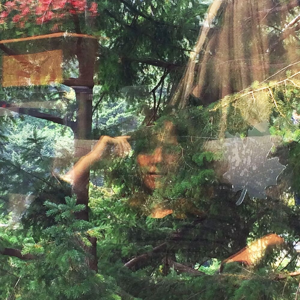 Диск CD Angels Of Death - Jennifer Castle
Диск CD Angels Of Death - Jennifer Castle