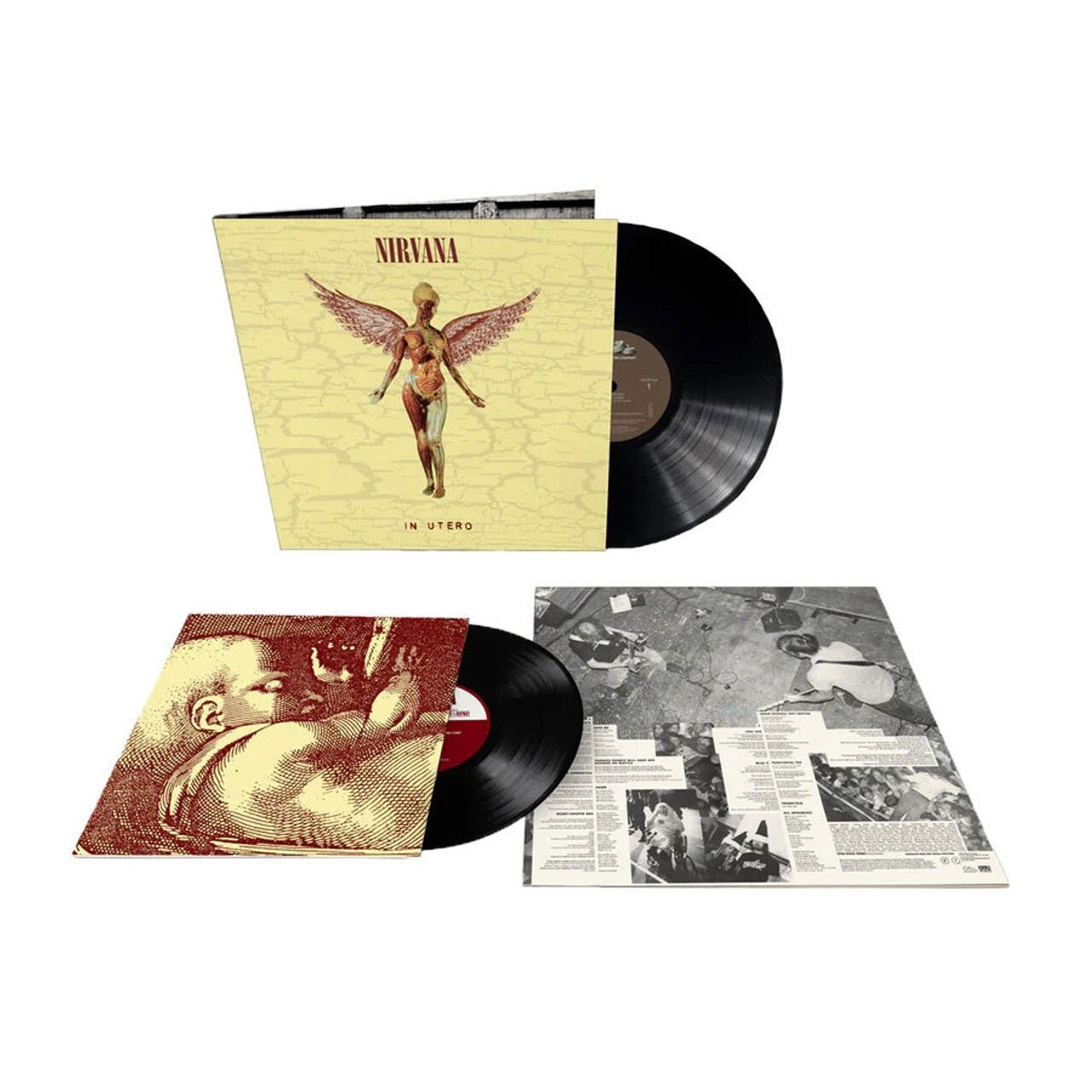 Виниловая пластинка Nirvana In Utero (30Th Anniversary) 180G Lp & 10"
Виниловая пластинка Nirvana In Utero (30Th Anniversary) 180G Lp & 10"