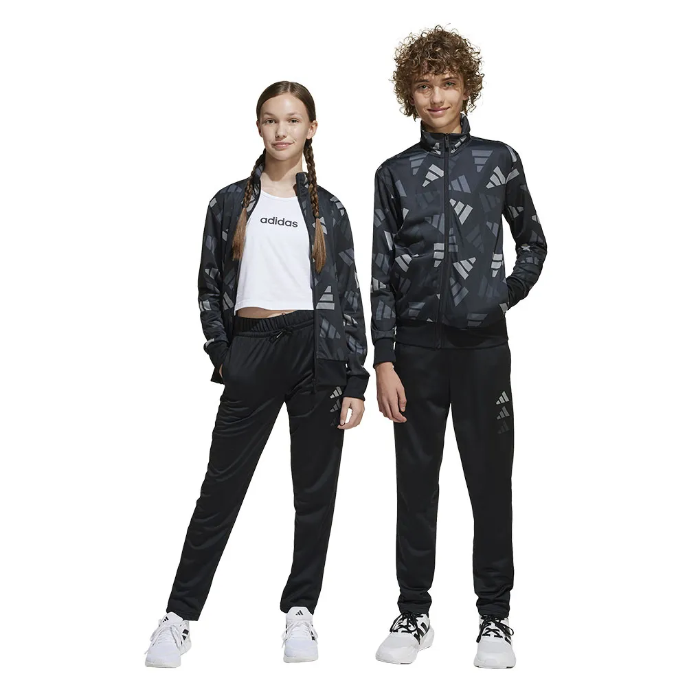 Спортивный костюм adidas Seasonal Essentials Logo Celebration Tricot, черный
Спортивный костюм adidas Seasonal Essentials Logo Celebration Tricot, черный