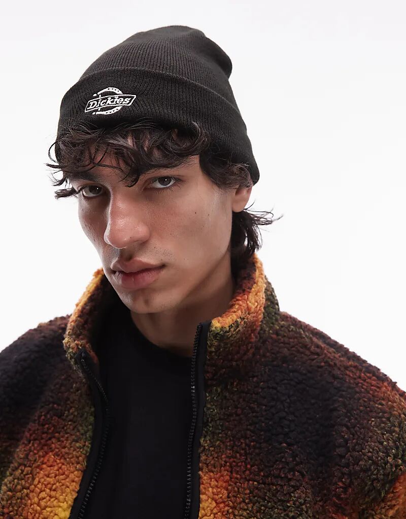 Вязаная шапочка Dickies Summerdale черного цвета
Вязаная шапочка Dickies Summerdale черного цвета