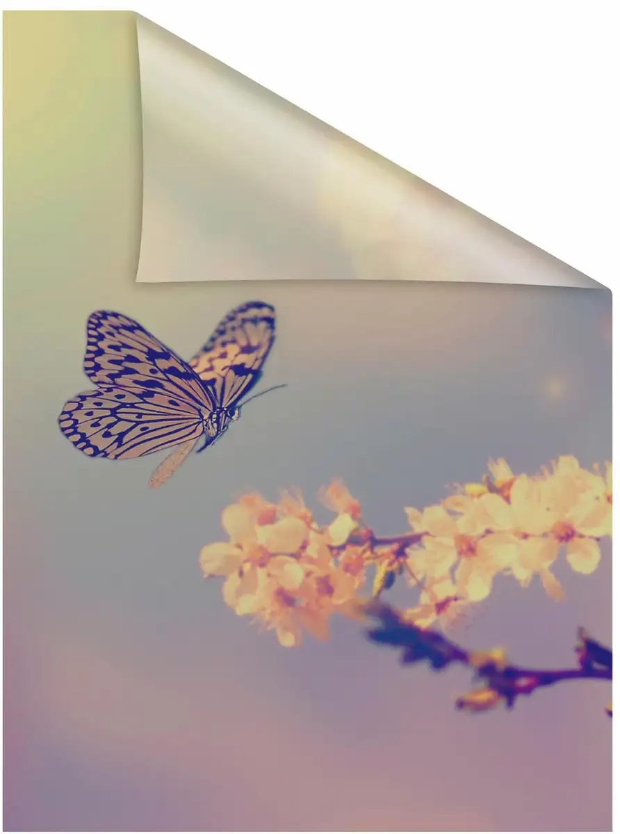 LICHTBLICK ORIGINAL оконная пленка "Butterfly Blossom", 1 шт., непрозрачная, структурированные клейкие точки, самоклеящаяся, защита конфиденциальности 50х100 см, цвет orange
LICHTBLICK ORIGINAL оконная пленка "Butterfly Blossom", 1 шт., непрозрачная, структурированные клейкие точки, самоклеящаяся, защита конфиденциальности 50х100 см, цвет orange